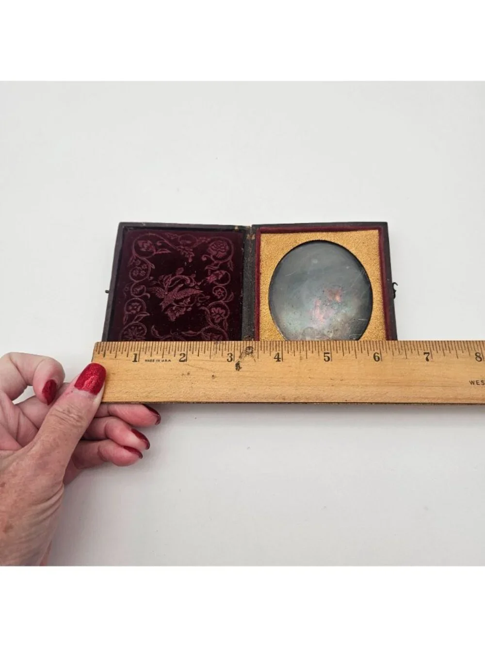 Antique Leather Red Velvet Pheasant Scene Daguerreotype Case
